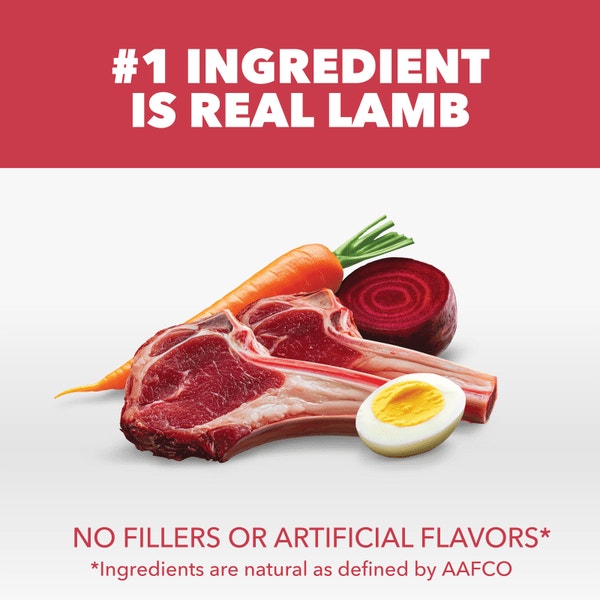 IAMS™ LARGE BREED LAMB & RICE image 2