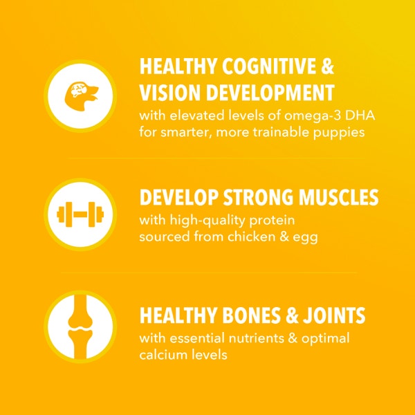 IAMS Proactive Health Dry Puppy Food Chicken, (4) 5 lb. Bags image 3