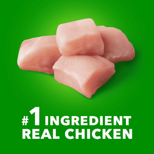 Proactive Health Large Breed Adult Chicken & Whole Grain Recipe Dry Dog Food image 2