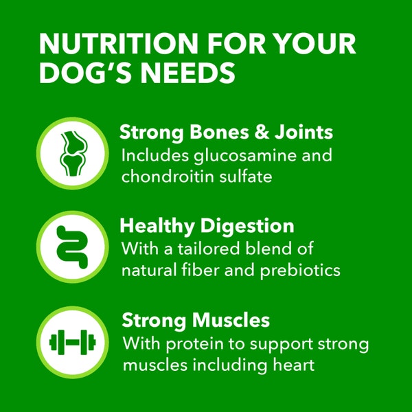 Proactive Health Large Breed Adult Chicken & Whole Grain Recipe Dry Dog Food image 3