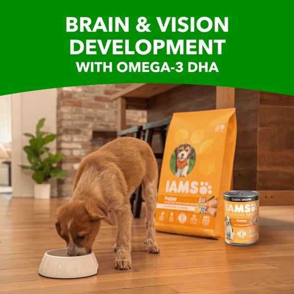 PROACTIVE HEALTH™ PUPPY WITH CHICKEN AND RICE CLASSIC GROUND image 4