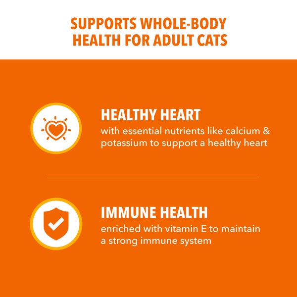 IAMS™ PROACTIVE HEALTH™ HEALTHY ADULT WITH CHICKEN image 3