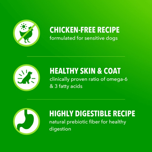 Proactive Health Sensitive Skin & Stomach Adult Dry Dog Food Salmon image 4