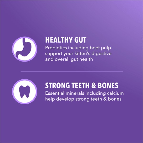 IAMS™ Proactive Health Salmon Dry Kitten Food Recipe image 4