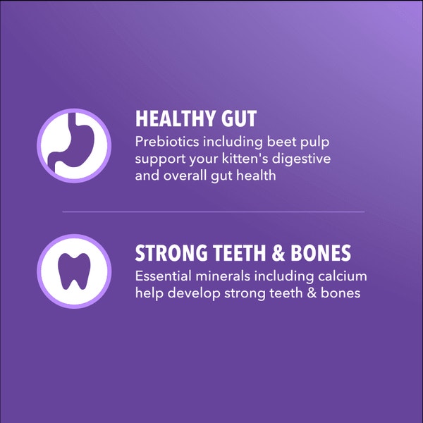IAMS™ Proactive Health Salmon Dry Kitten Food Recipe image 4