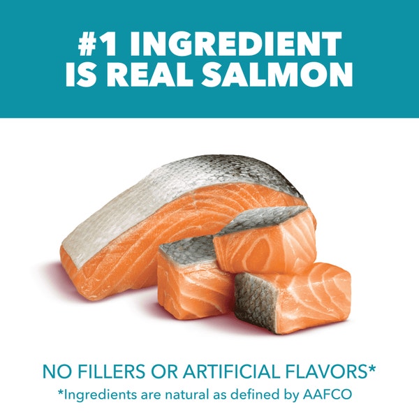 IAMS™ PROACTIVE HEALTH™ ADULT INDOOR WEIGHT & HAIRBALL CARE WITH SALMON image 2