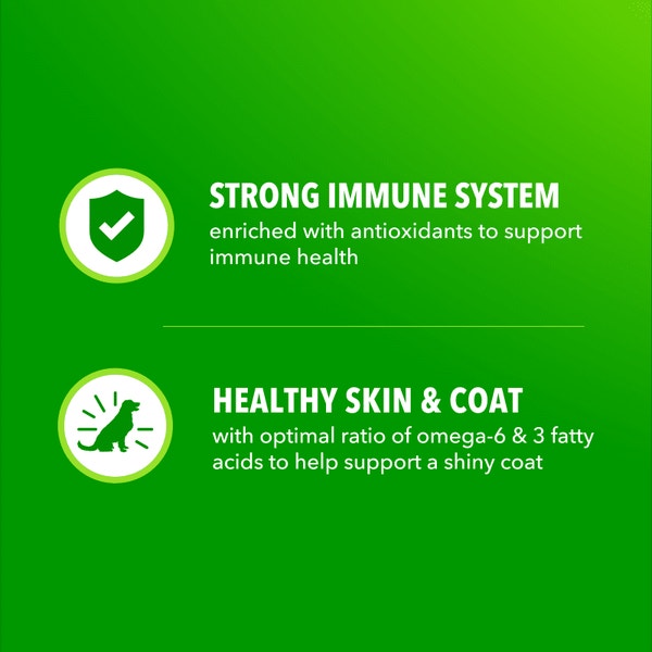 IAMS™ Proactive Health High Protein Chicken and Beef Dry Dog Food image 5