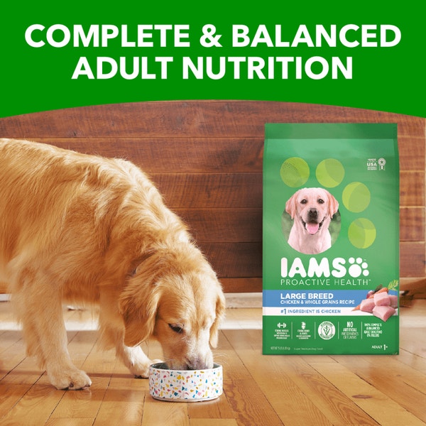 Proactive Health Large Breed Adult Chicken & Whole Grain Recipe Dry Dog Food image 4