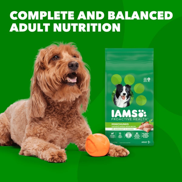 IAMS™ MINICHUNKS CHICKEN & WHOLE GRAINS image 4