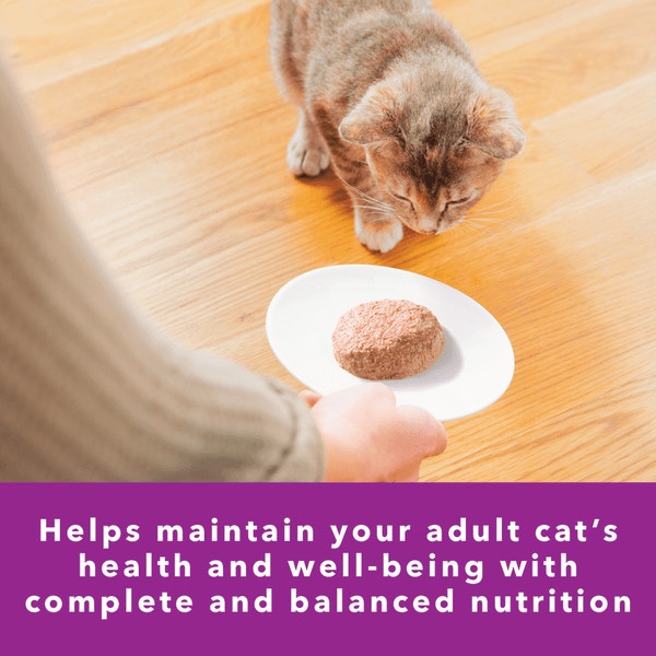 IAMS™ PERFECT PORTIONS™ SENSITIVE DIGESTION & SKIN ADULT PATÉ  - TURKEY RECIPE image 2
