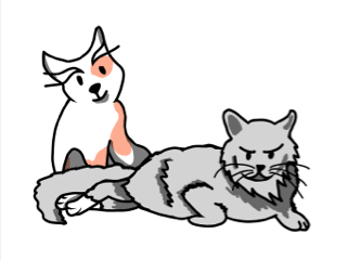 cat and dog getting along