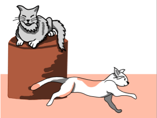 mutiple cats in the same household