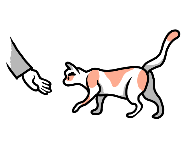 human reach out to a friendly cat