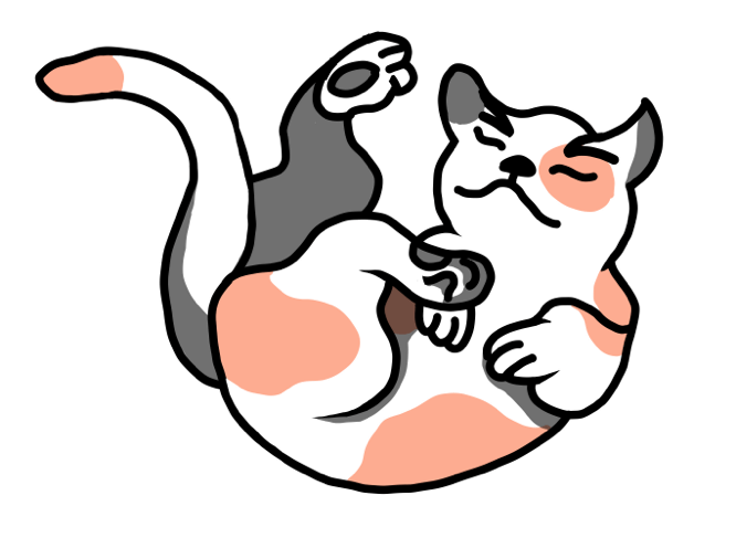 cat with feet above head