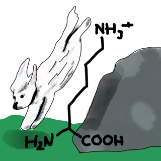 The Important Fatty Acids in IAMS™ Dog Foods