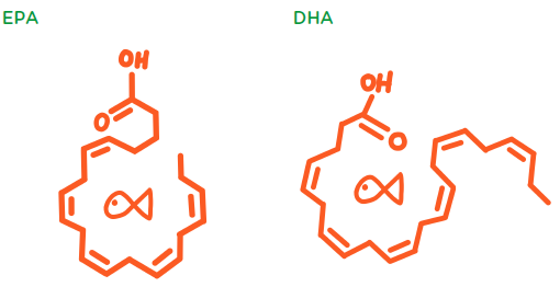 fish oil chemical compound structure