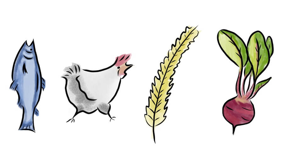 fish chicken and more