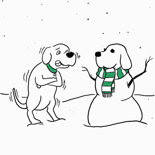 shake fr-17ccc4ae96b1f6394958cff050067515e