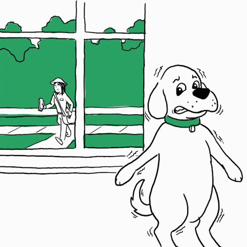 Why Is My Dog Shaking IAMS