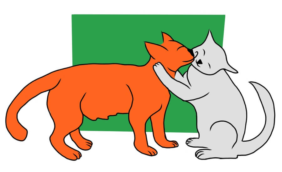 two cats