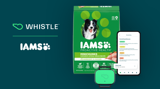 whistle article banner