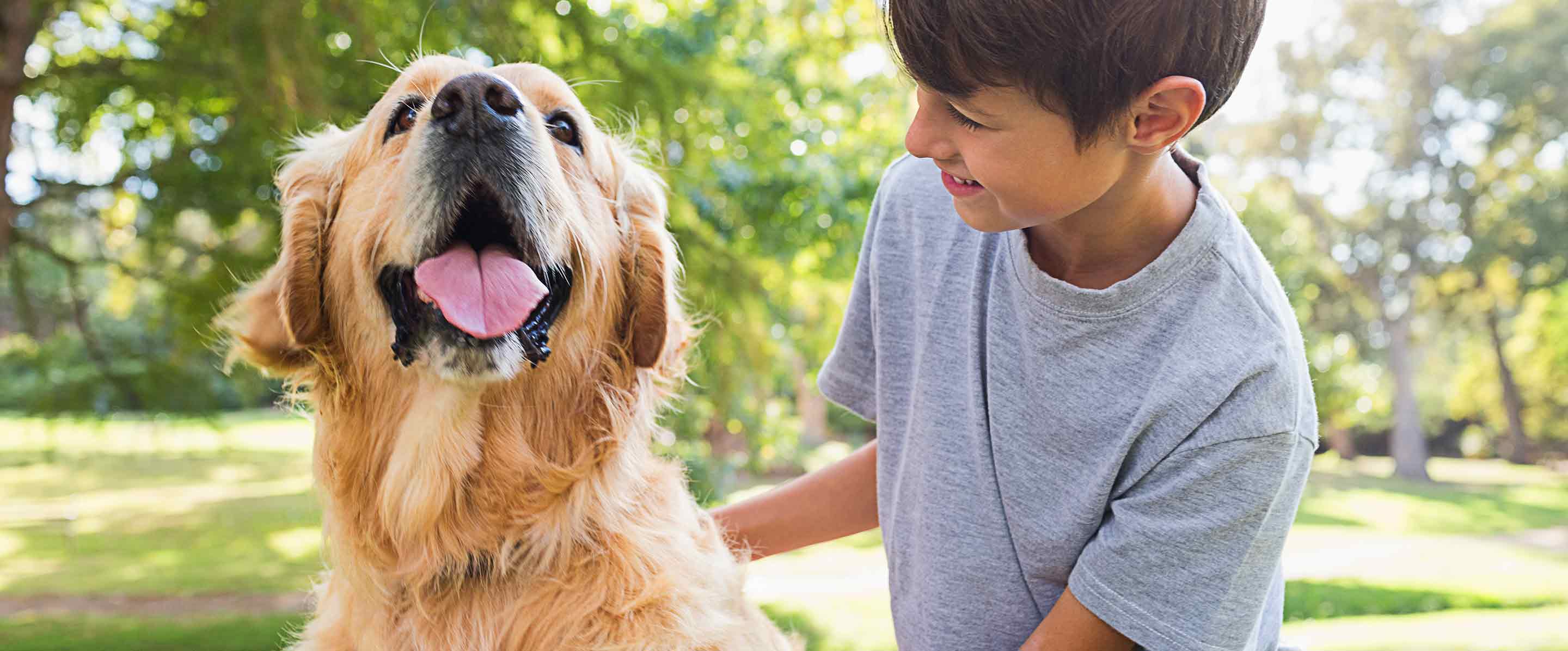 Match Me With A Dog Breed Quiz atelieryuwa.ciao.jp