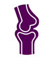 Purple knee bones