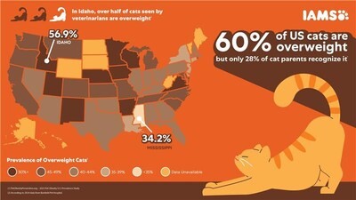 overweight cats in the US chart
