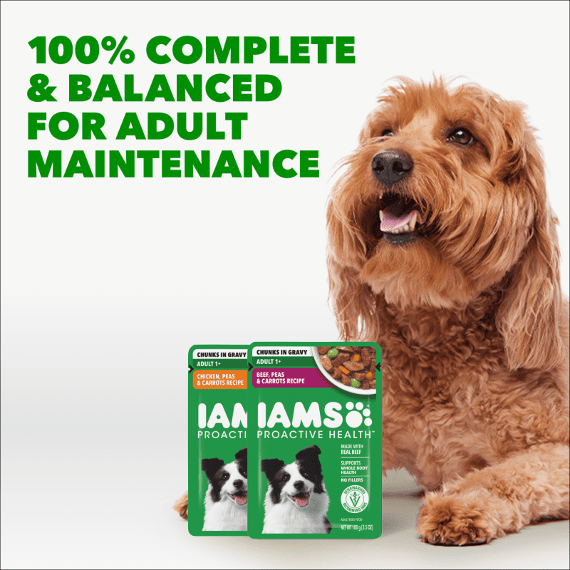 IAMS Proactive Health Adult Beef, Peas and Carrots Recipe Wet Dog Food benefits image 5