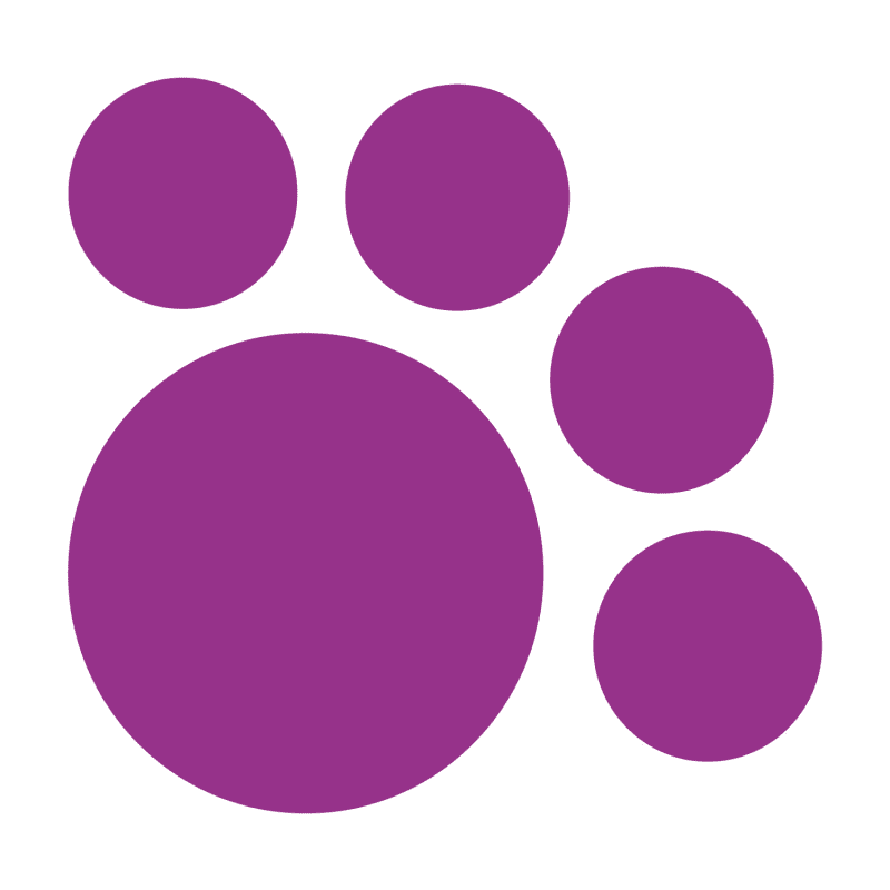 IAMS™ Proactive Health Salmon Dry Kitten Food Recipe benefits image 1