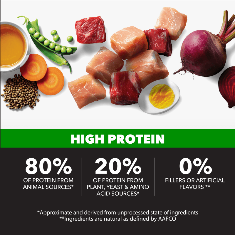 IAMS Proactive Health High Protein Dry Dog Food With Chicken & Beef benefits image 2