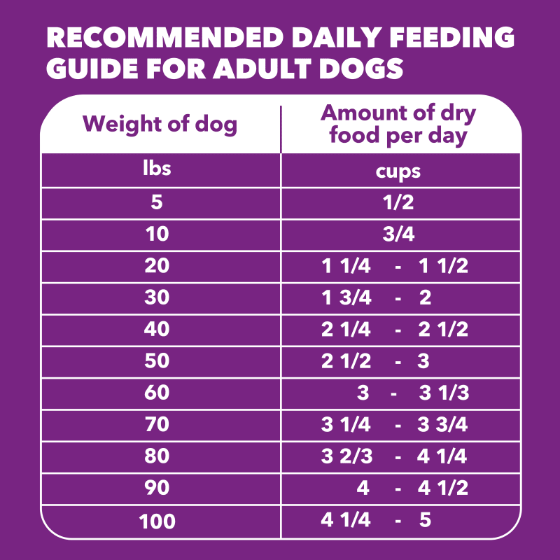 IAMS ADVANCED HEALTH Skin & Coat Chicken and Salmon Recipe Adult Dry Dog Food, 4.5 lb bag feeding guidelines image