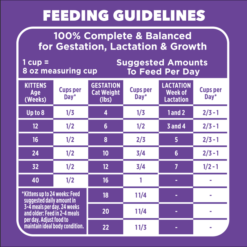 IAMS™ Proactive Health Salmon Dry Kitten Food Recipe feeding guidelines image