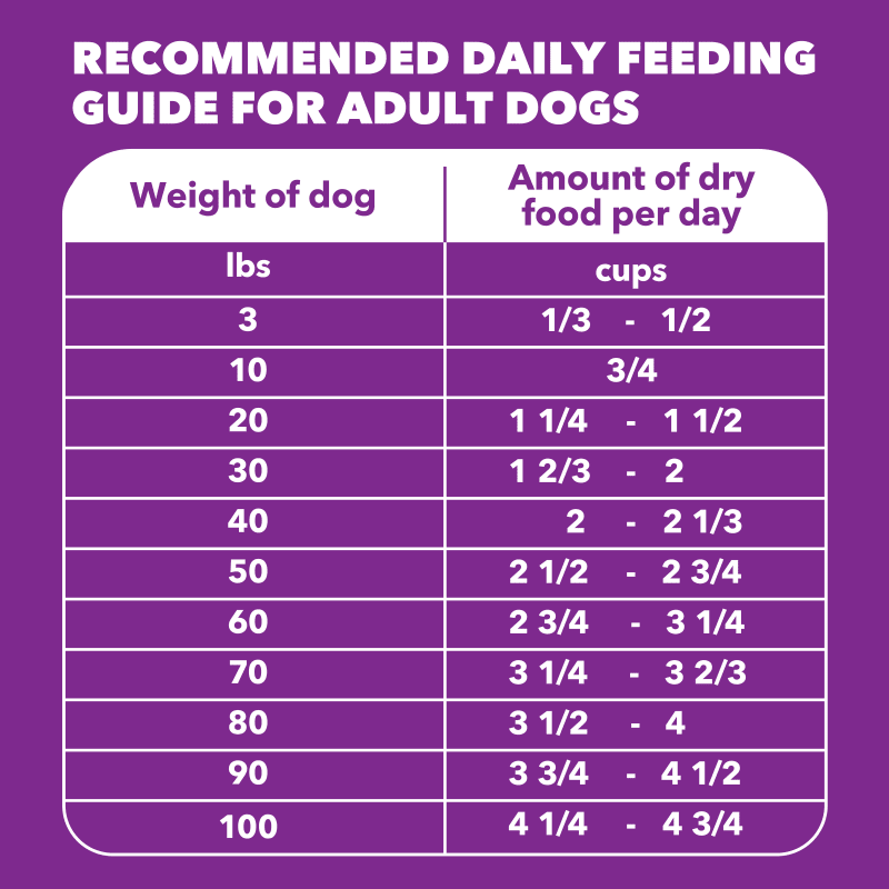 IAMS ADVANCED HEALTH Healthy Digestion Adult Dry Dog Food with Real Chicken, 4.5 lb. Bag feeding guidelines image