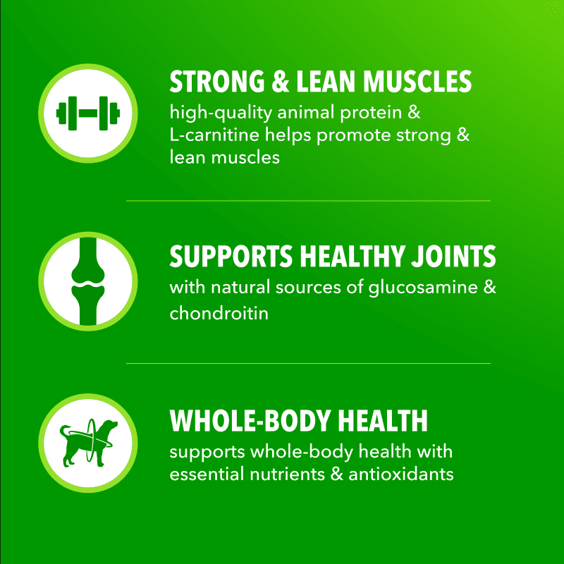 IAMS Proactive Health High Protein Dry Dog Food With Chicken & Beef benefits image 4