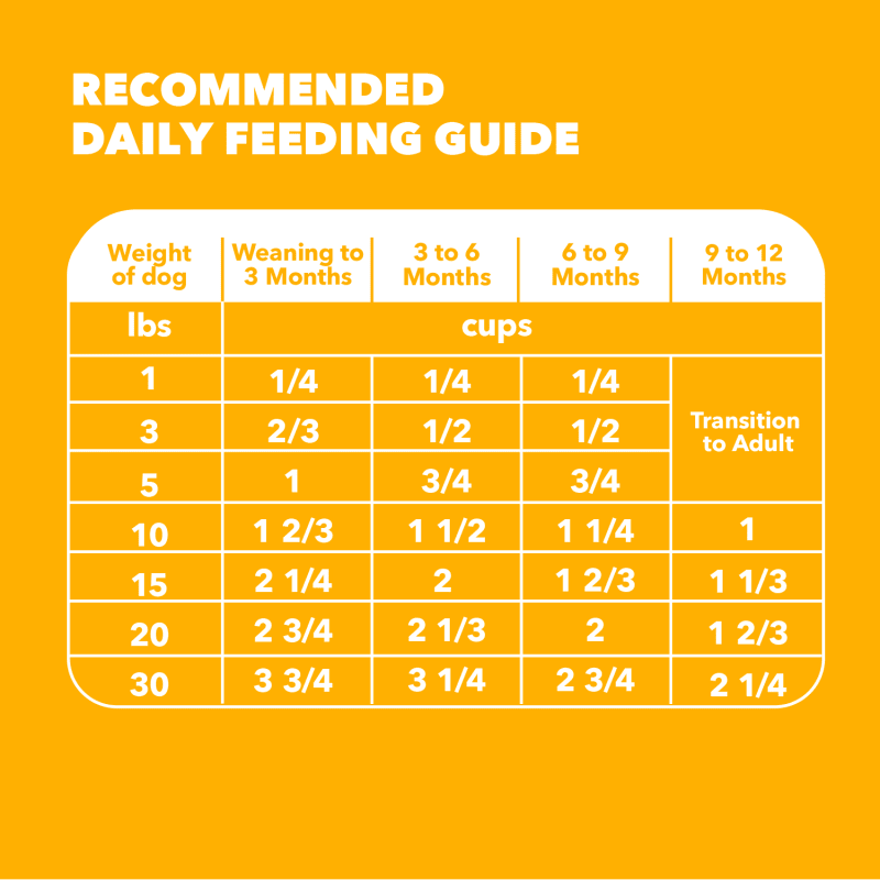 IAMS Proactive Health Healthy Puppy Chicken Recipe Small Breed Dry Puppy Food, (4) 5 Lb Bags feeding guidelines image