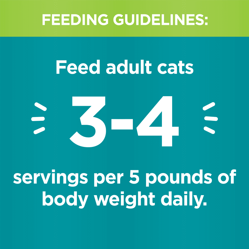 IAMS™ PERFECT PORTIONS™ INDOOR PATÉ - TURKEY RECIPE feeding guidelines image