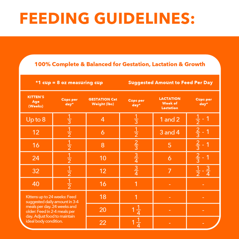 IAMS™ PROACTIVE HEALTH™ HEALTHY KITTEN feeding guidelines image