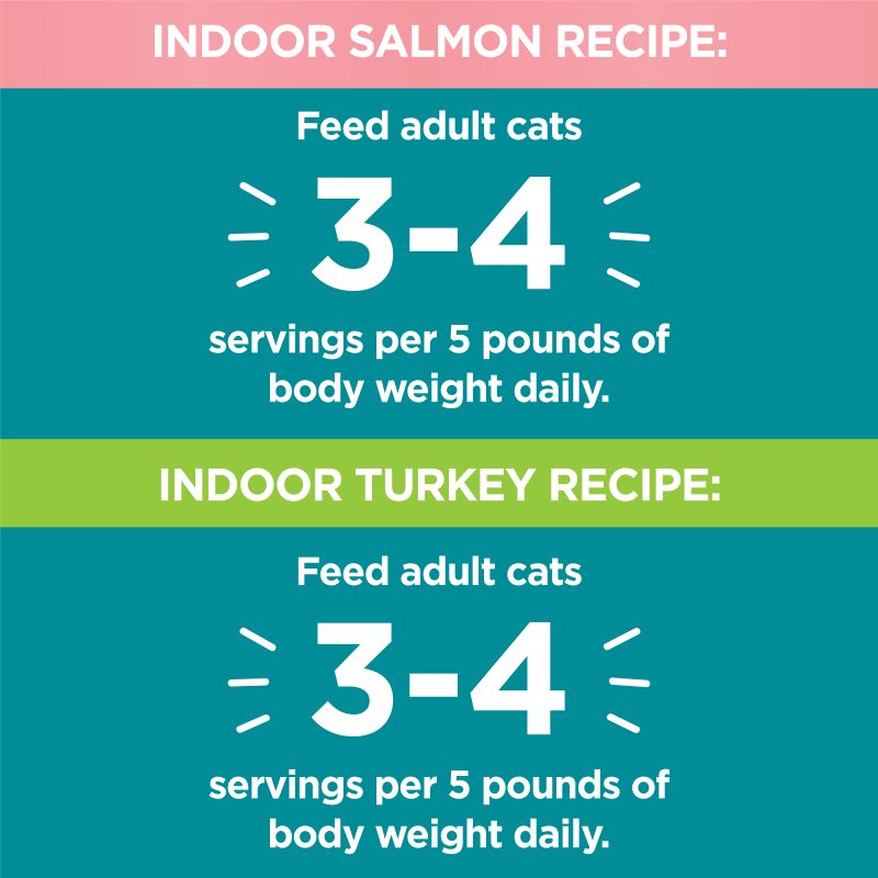 IAMS™ PERFECT PORTIONS™ INDOOR PATÉ VARIETY PACK- SALMON RECIPE & TURKEY RECIPE 12CT feeding guidelines image 1