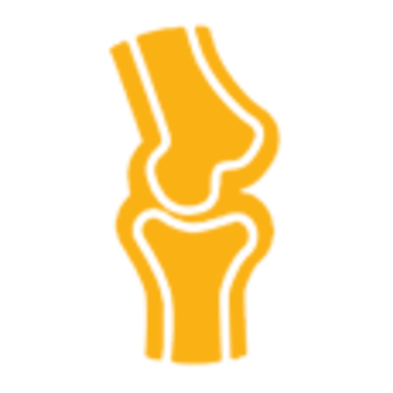 IAMS™ PUPPY LARGE BREED benefits image 2