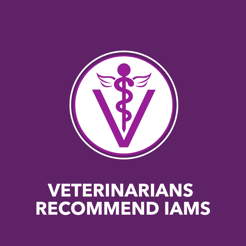IAMS™ ADVANCED HEALTH™ MOBILITY SUPPORT guaranteed analysis image