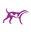 IAMS™ HEALTHY AGING benefits image 4
