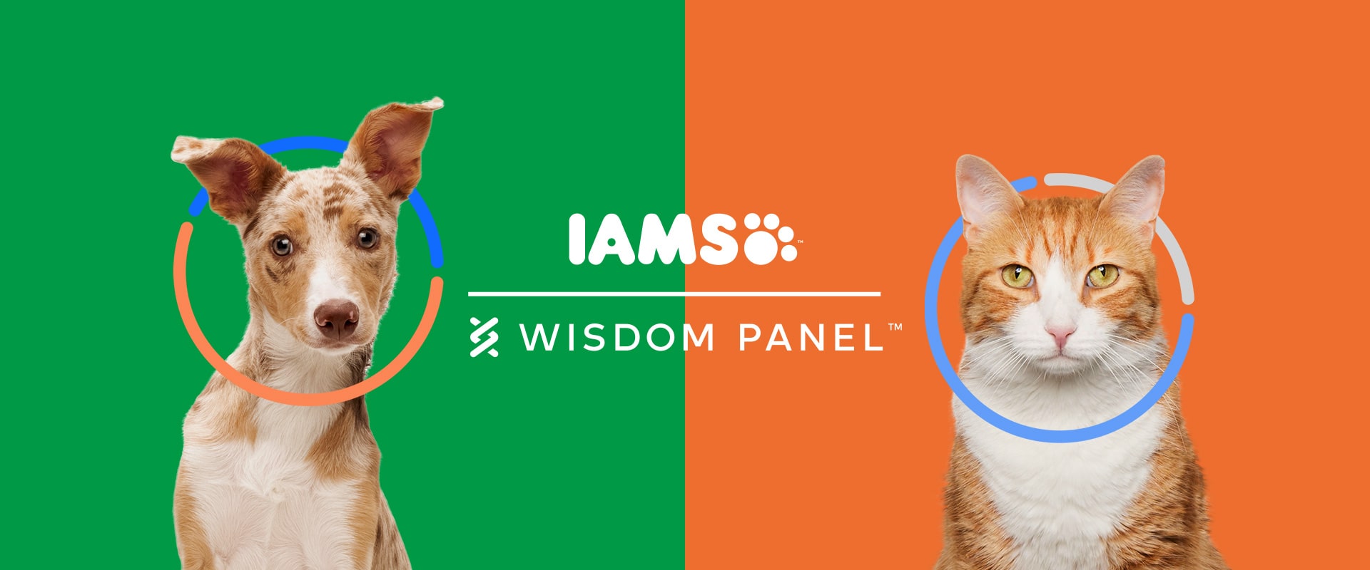 IAMS pet food and Wisdom Panel logos on top of green and orange background, light brown and white puppy dog on the left and ginger and white cat on the right