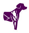 Skin and Coat Icon