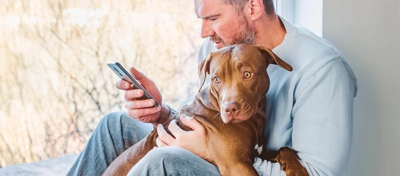 Man researching dog pancreatic issues