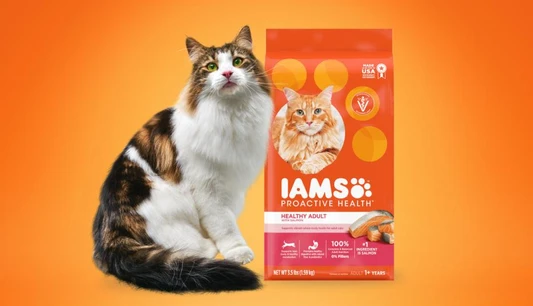 Calico cat sitting next to a bag of IAMS™ Cat Food