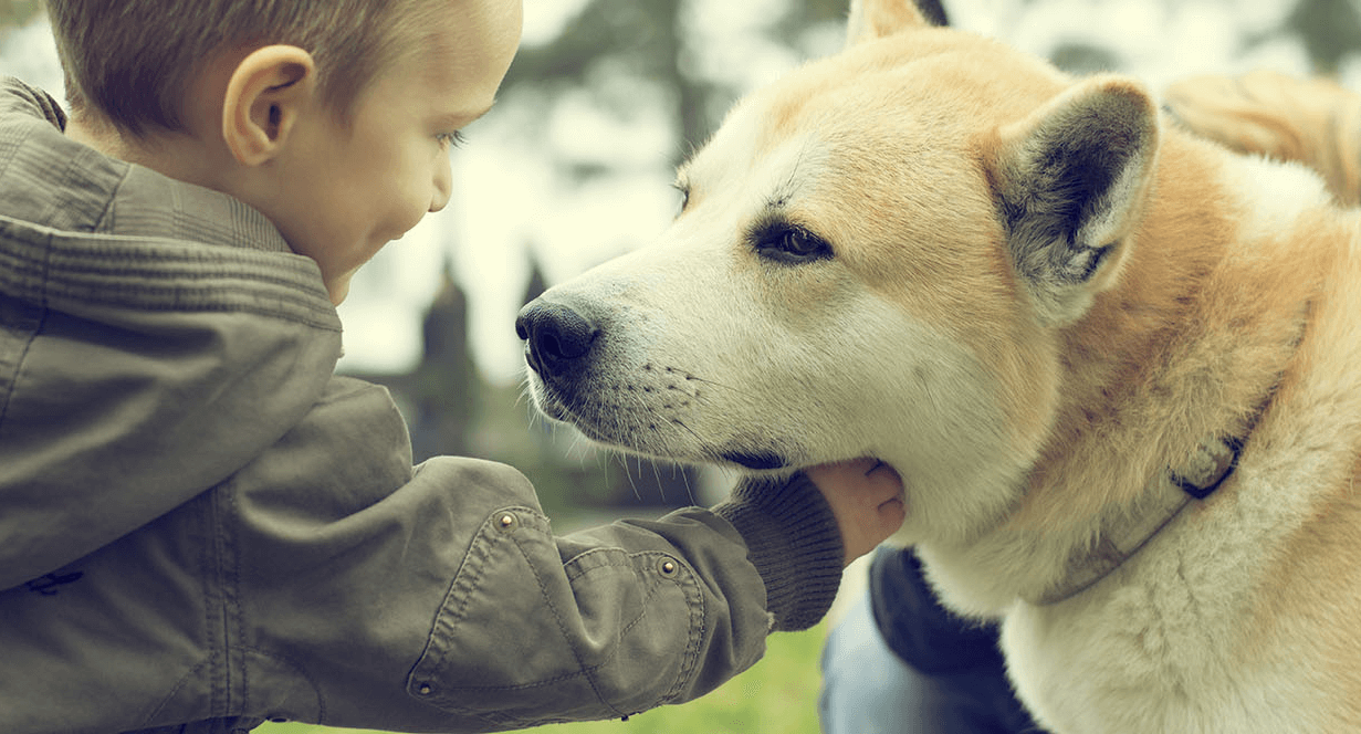 Small child petting cute white and tan dog