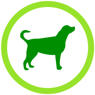 Alt Image