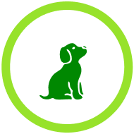 Alt Image