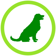 Alt Image